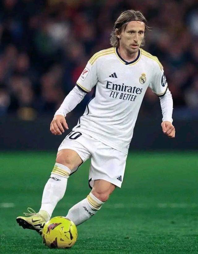 伦敦奥运马术冠军与爱马同日安乐死：二十载相伴书写辉煌传奇